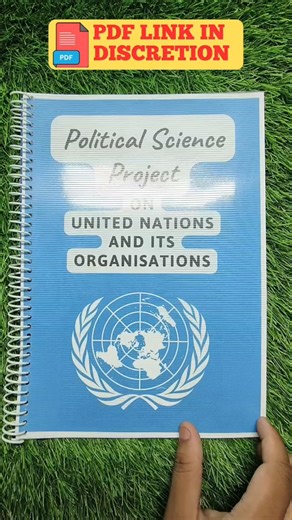 Political Science Project On United Nations and Its Organisations #diy #project #class12