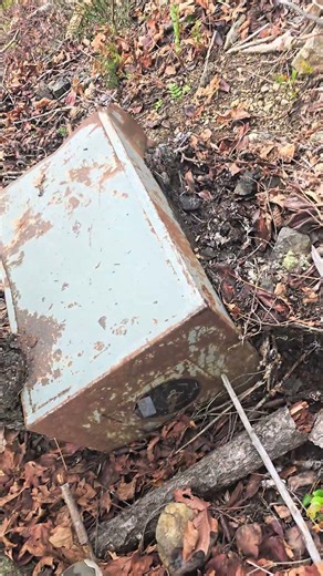 Exploring Old Logging Roads and Found THIS Safe. #urbex #treasurehunt #hiddeninwoods #loggingroad
