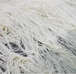 [Hot Item] Cutting-Edge Technology Line in Fresh Rice Noodle Production