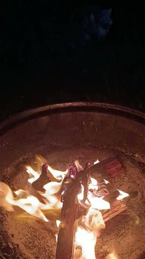 Spring Melody of frogs, birds. and fire