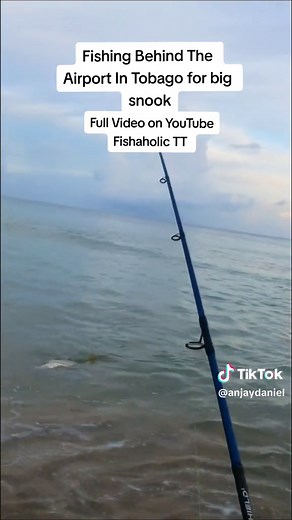 Inshore Fishing In Tobago 🇹🇹 full video on YouTube Fishaholic TT #fishing #fyp #inshorefishing #trinidadandtobago #tobagofishing