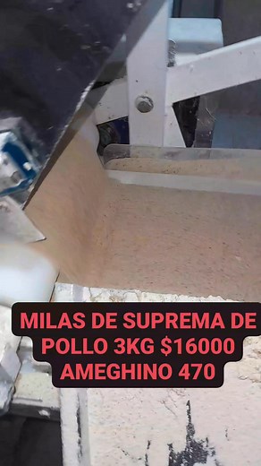 Wps 3434578465 | Jose Luis Bello