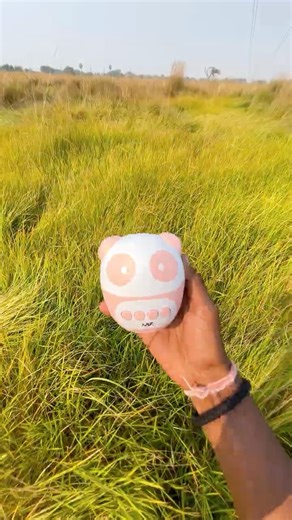 ￼ panda ￼ speaker jump test