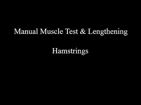 Manual Muscle Test & Lengthening - Hamstrings