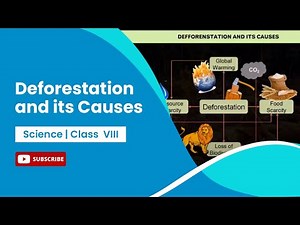 Conservation of Plants and Animals | Deforestation and its Causes | Class 8