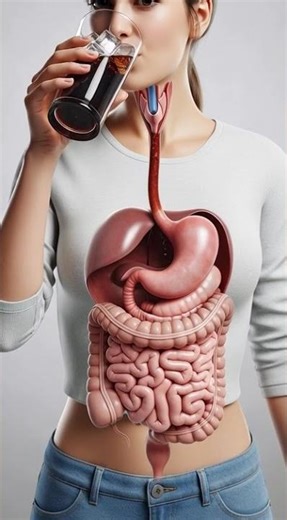 Cold Drink (Soda) & Your Stomach 😬🥤 | Hidden Digestive Effects Explained #viral #stomachhealth
