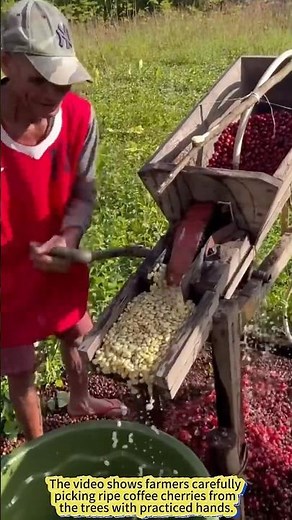 The First Journey of Coffee Beans