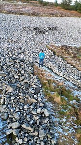 Mormond Hill White Stag in Fraserburgh, Scotland (recorded in winter) | Chris Paul Lawlor