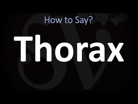 How to Pronounce Thorax? (CORRECTLY)