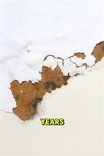 Know the Warning Signs of Termites 🐜🚨