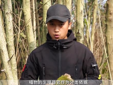 自然里的植物，是按什么标准进行分类的？ #自然教育 #植物科普 #自然美育 #植物分类 #自然美育 #植物百科