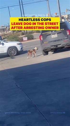 San Antonio Police Leave Dog Behind After Arrest