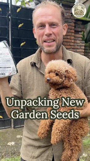 Our first seed order just arrived! We’re really excited about this one. This is the very first time we’ve ordered seeds like this and we’re curious to see what will actually grow well here in Buleleng. Some are basic seeds, but there are also a few special ones… including some very hot peppers and some fruits we’re really curious about. For us the food forest is all about experimenting and learning what works in this climate. We can’t wait to start planting! If things grow well, we’ll definitely