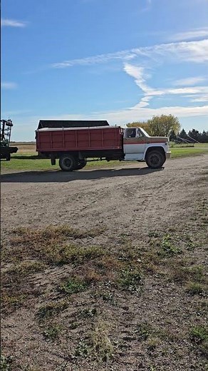 Chevrolet C65 Grain Truck - Gabert Farm Auction Oct. 23rd