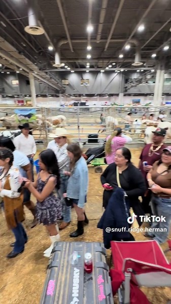Who’s excited for Houston Livestock Show this year?! I know we are! Come stop by March 21-22 and visit the steers! We can’t wait to see everyone!💙🧡#texaslonghorns #houston #houstonlivestockshowandrodeo #texaslonghorncattle #showcattle