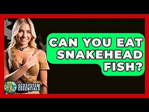 Can You Eat Snakehead Fish? - Ecosystem Essentials