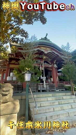 【東京神社仏閣巡り】北千住の歴史を歩く｜ラジオ体操発祥の地・千住本氷川神社の魅力 #千住本氷川神社 #北千住 #shorts