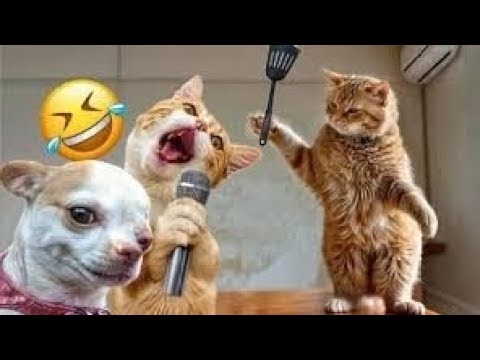 Unbelievably Funny Animal Reactions – Try Not to Laugh! 😂