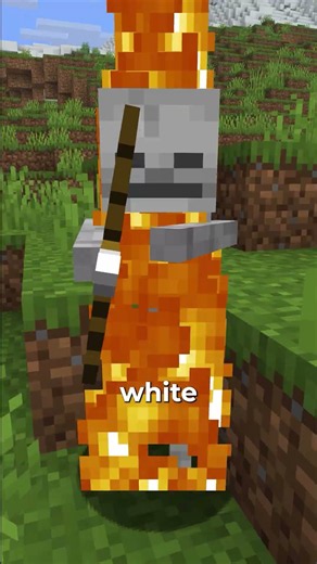 Every Minecraft Dye method