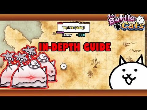 How to Beat Li'l Island EASILY! | The Battle Cats
