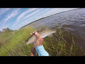 Speckled Trout Fishing with Shrimp and Jig Head Rig| Fishyourassoff.com
