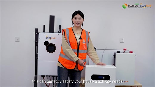 Blueusn 10kw solar system for you #solarsystem #lithiumbattery | Bluesun Solar