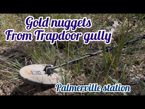 Detecting Trapdoor gully for gold on Palmerville station