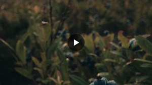 Grand Blue Corporate Video | Grand Blue Inc.