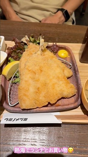 熱海でランチとお買い物楽しい😆アジフライも海鮮丼も美味しかった👍#japan #travel #atami #熱海