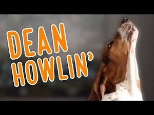 Dean HOWLIN'! 2020 Howling Compilation
