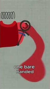 Mantis Shrimp Punches Hotter Than the Sun #animals #foryou #nature #shortvideo #shorts