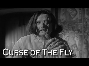 This Is Not A Sequel, It's A Spin-Off | Curse of The Fly | Summary, Analysis and Review
