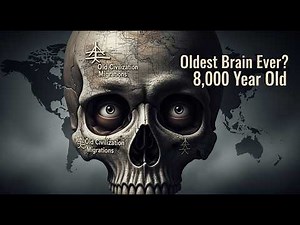 Oldest Brain Ever Found? 8,000-Year-Old Skull Discovered With Brain Still Inside