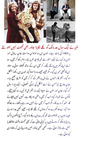 Lion Hugs Owner After Year Apart Most Emotional Animal Reunion Ever True Story of Unforgettable Love