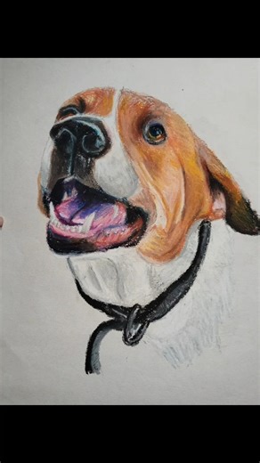 Dog Oil Pastel Painting #oilpainting #oilpastelpainting #art #shorts #dog