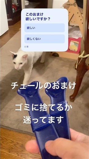 ちゅ〜る【おまけ問題】アンケートでプレゼント🎁