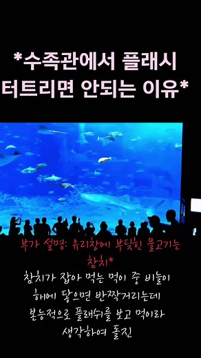 수족관에서 플래시 사용하면 안 되는 이유