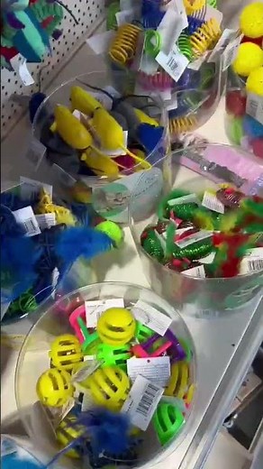 Kitten Essentials | Give your kitten the best start with essentials from Jollyes