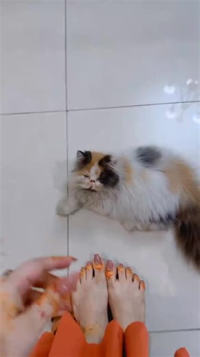 pie G (@mylifelinemyhusband33)’s videos with original sound - Mr.Aqoo⚡❤️‍🔥