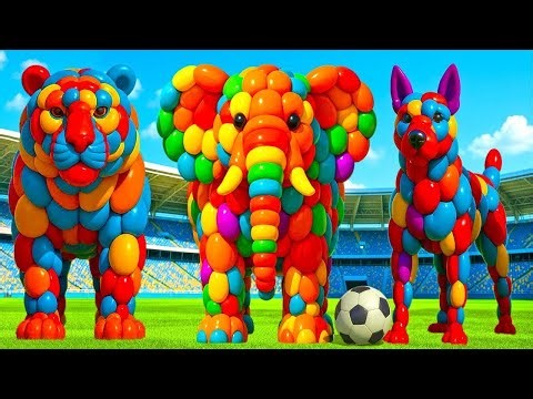 The mascot vibrato assistant dog placed on the football field is popular, co-produced and creative 2