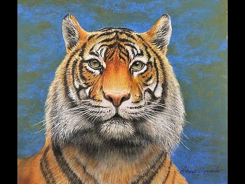 come disegnare una Tigre realistica tutorial