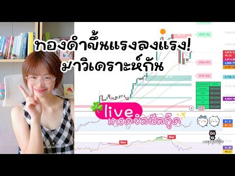 🍄 live เทรดชิลฟีลกู๊ด | ในคอมมูฉ่ำกันเกิน #xauusd #เทรดทอง