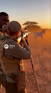 🦓 Savanna Target Practice!