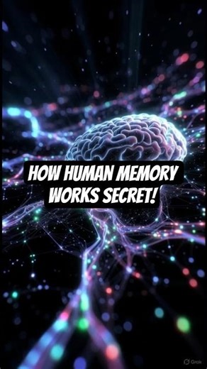 Human memory function 😳🧠