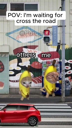 CAT MEMES 🐱|You're the weird one crossing the street #relatable #catmemes #funny #viral