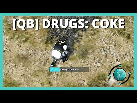 [QBCORE] DRUGS: COCAINE & CRACK SCRIPT