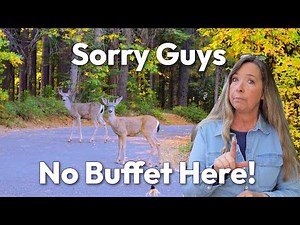 20+ Deer Resistant Perennials for Your Cottage Garden (some Rabbit Resistant too)!