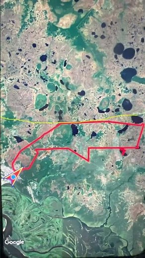 55 KM vs. The World’s Largest Swamp! 🌍 🦾