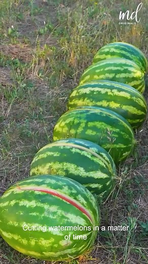 94K views · 354 reactions | Sending watermelon cutting game on another level | MetDaan Tips | Facebook