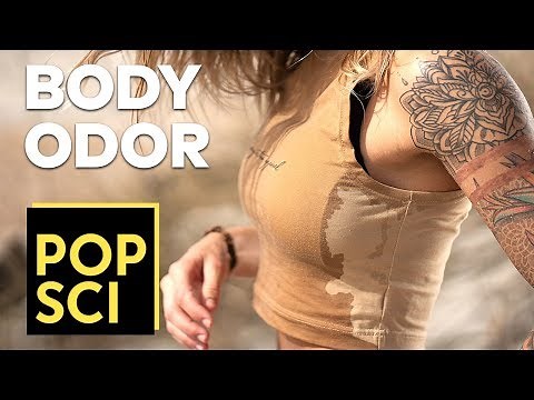 Why Everyone Smells Bad || BODY ODOR 101
